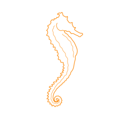 Animals Saltwater Fish Common Seahorse Monoline Svg Vector, Free Vectors File